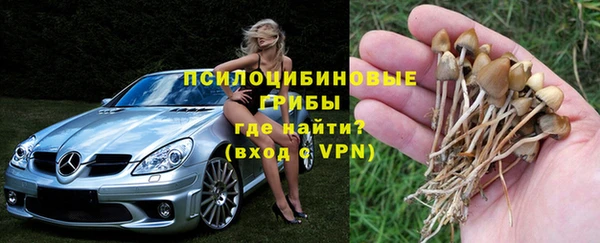 МДМА Приозерск