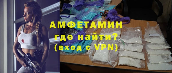 индика Протвино