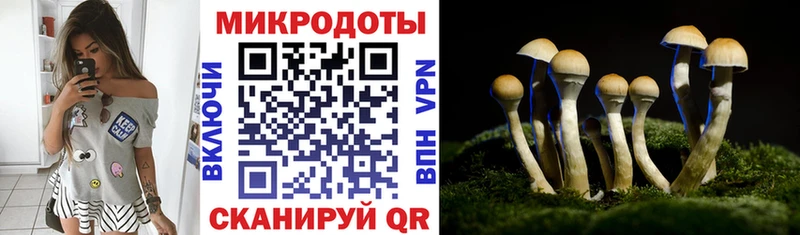 Псилоцибиновые грибы мухоморы  Зерноград 